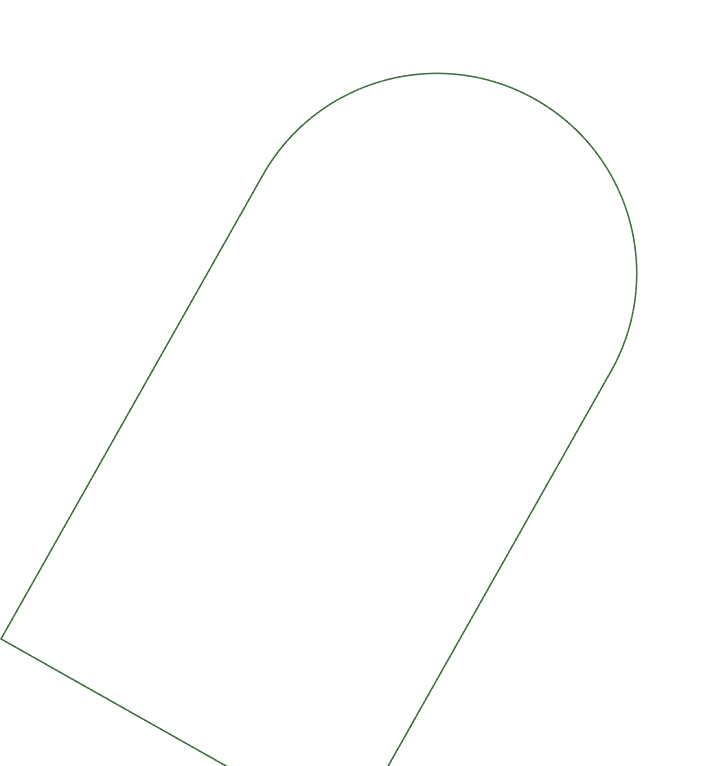 Vector