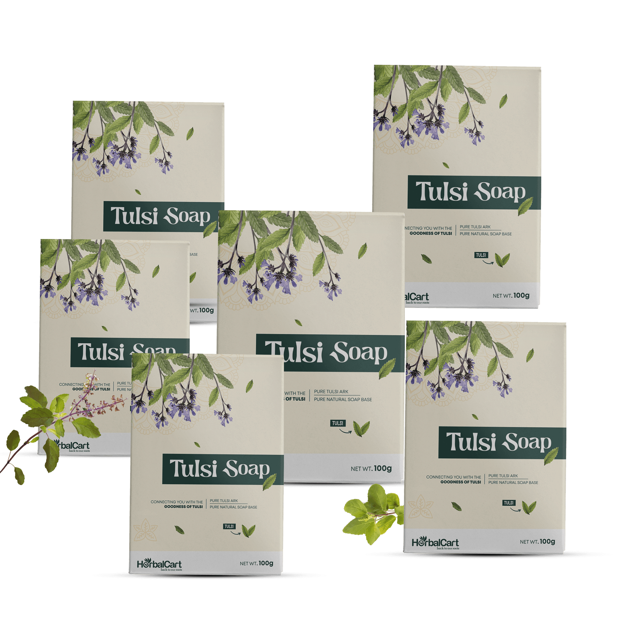 Tulsi Soap 100g(Pack of 6)
