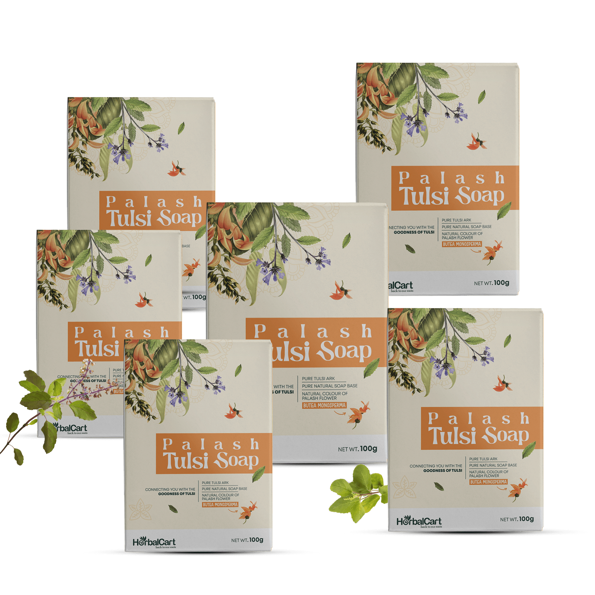 Tulsi Soap Palash 100g(Pack of 6)