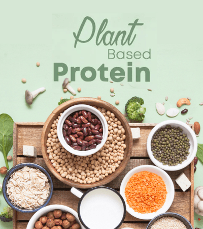 Plant Based Proteins – An Ultimate Guide