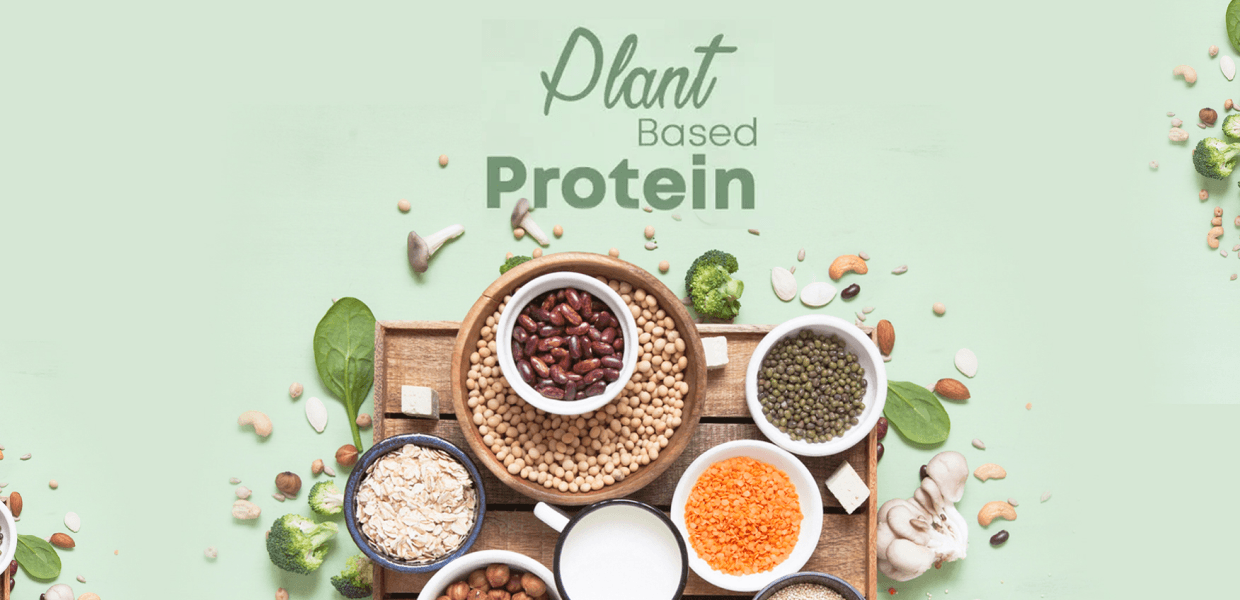 Plant Based Proteins – An Ultimate Guide