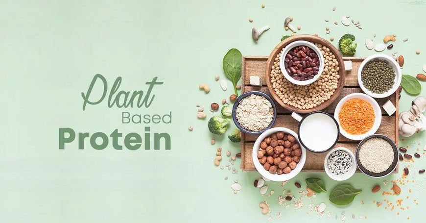 Plant Based Proteins – An Ultimate Guide